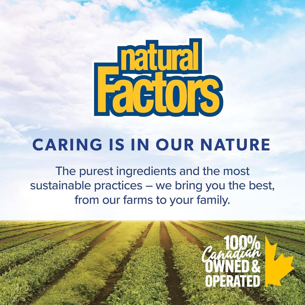 Natural Factors NAC N-Acétyl-L-Cystéine 600mg – 180 Gélules Végétariennes