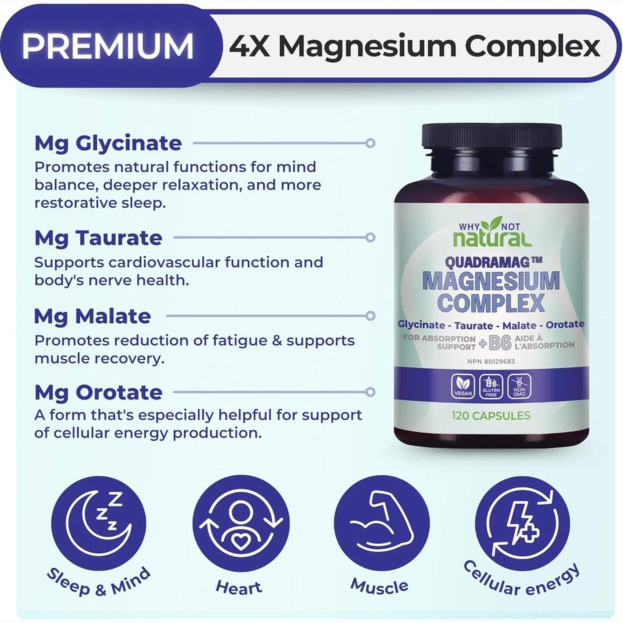 Complexe de Magnésium 4 en 1 – Glycinate, Taurate, Malate, Orotate